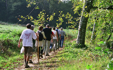 Randonnée en sous-bois à Sauveterre